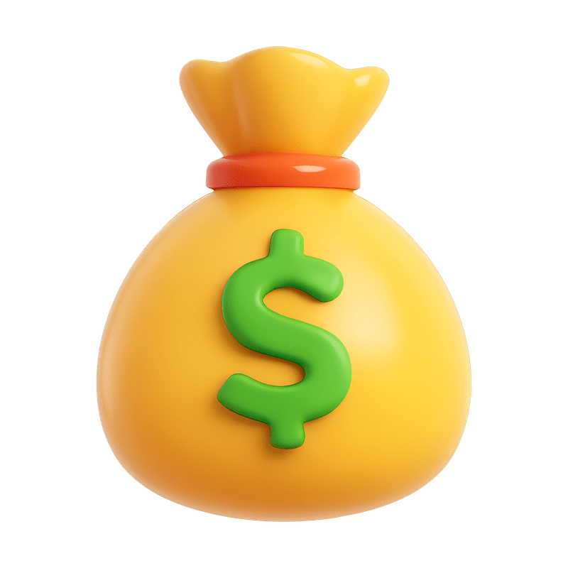 Cash Bag